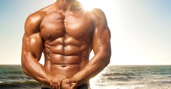 Muscle Maximizer